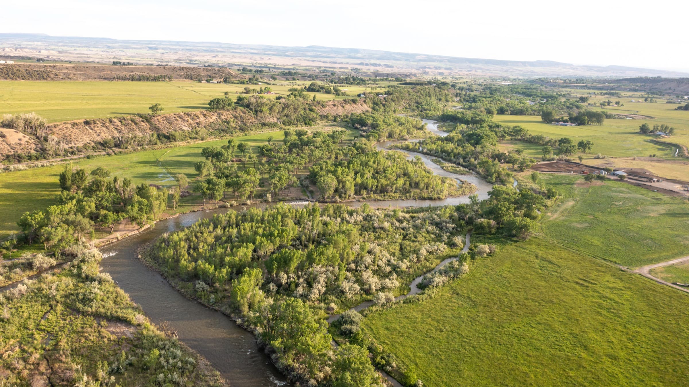 Aerial view of the North Fork of the Gunnison River winding through cottonwoods and green hayfields